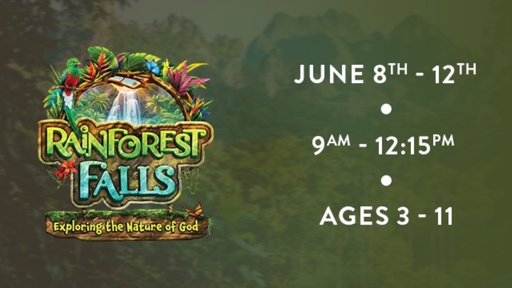 Rainforest Falls (2026 VBS)  logo
