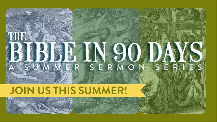 The Bible in 90 Days Challenge logo