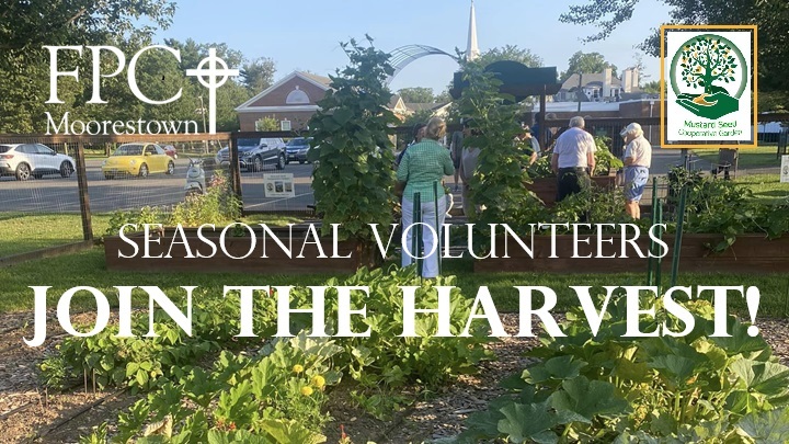 MSCG Welcomes Harvest Volunteers logo