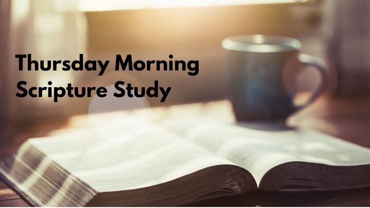 Thursday Morning Scripture Study - The History of Catholic Worship logo
