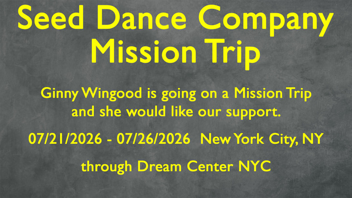 Ginny Wingood Mission Trip logo