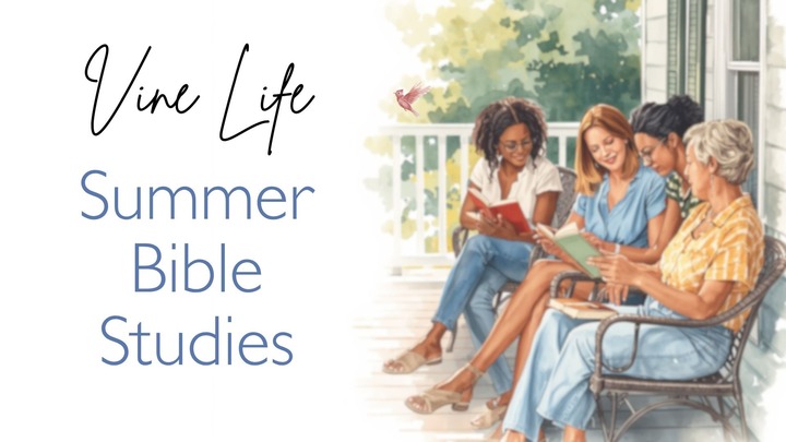 VineLife Summer Studies logo