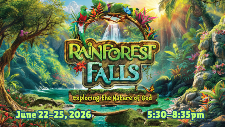 VBS 2026: Rainforest Falls logo