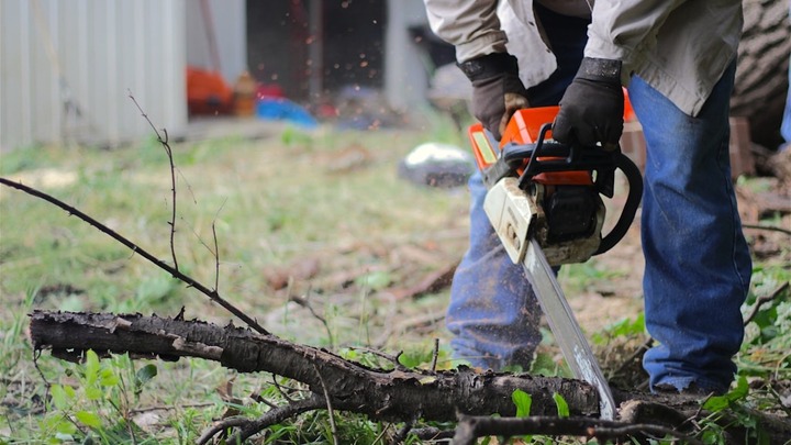 Outdoor Spring Cleanup  logo