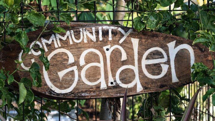 Simple Gifts Garden Yearly Membership 2026 logo