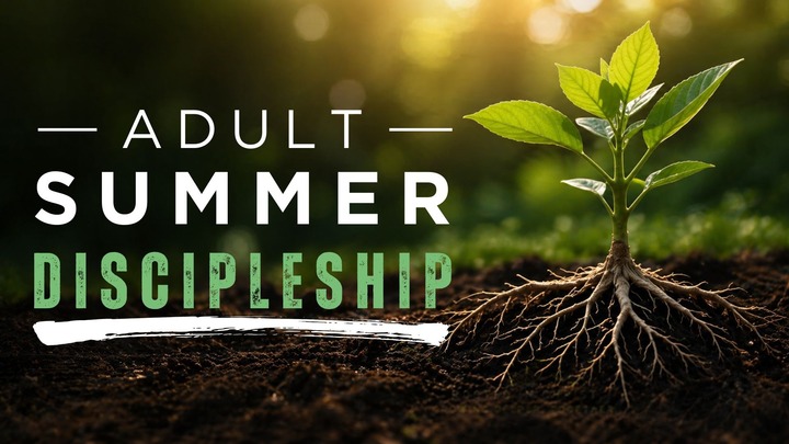 Men's Adult Summer Discipleship  logo