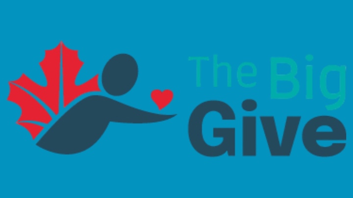 Big Give logo