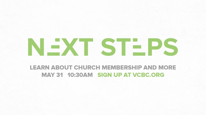 Next Steps logo