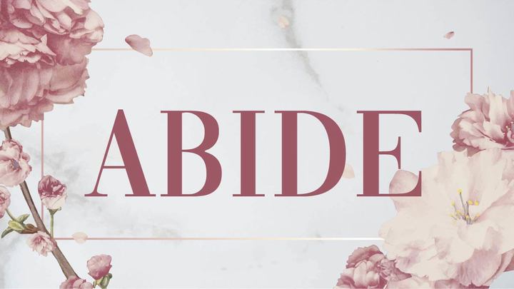 ABIDE 2020 logo image