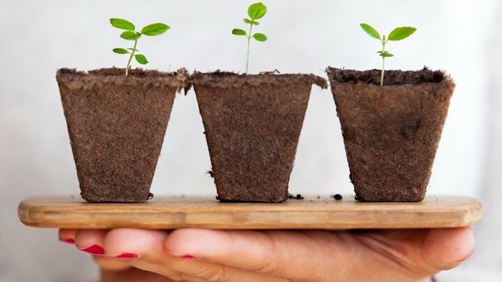 Next Step-GROW (Google Meet) logo