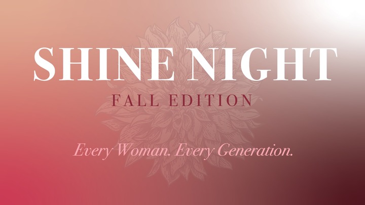 SHINE NIGHT logo