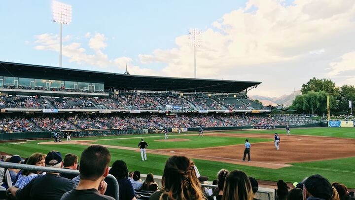 Yard Goats Game