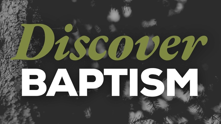 Discover Baptism logo