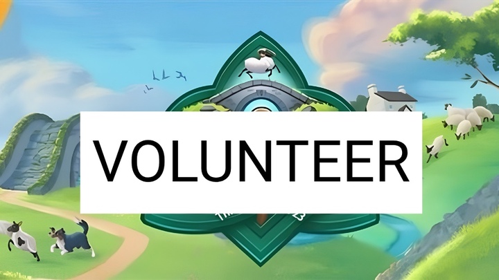 VBS Volunteer Application logo