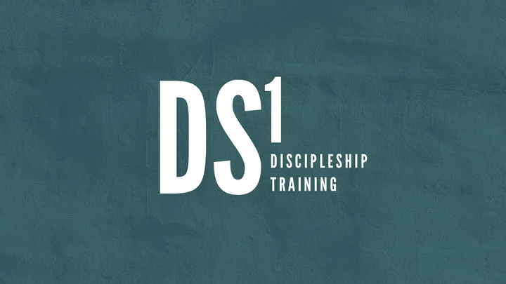 DS1 Training logo