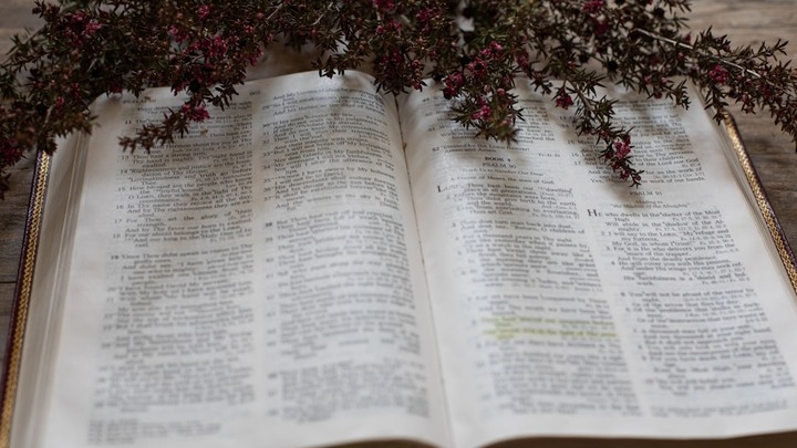 Women's Summer Discipleship | With the Master in the School of Tested Faith logo