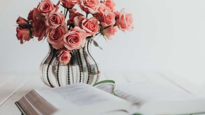 Women's Summer Discipleship | Biblical Womanhood in the Home logo