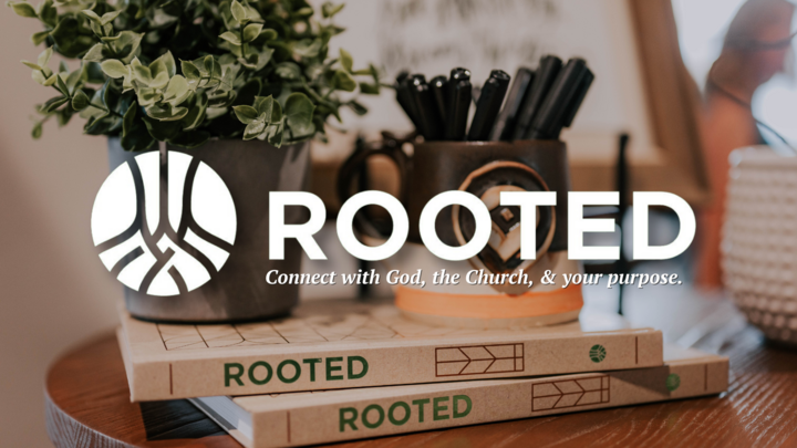Rooted Summer 2026 logo