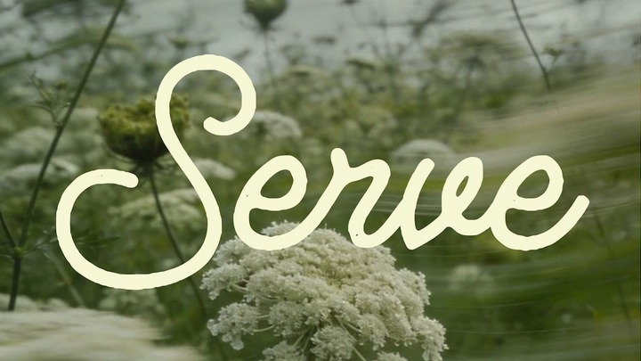 SERVE 26 logo