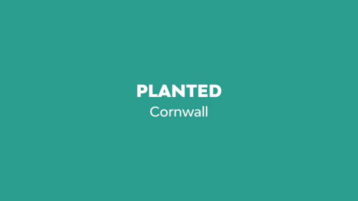 Planted  Cornwall - October 4, 2026 logo