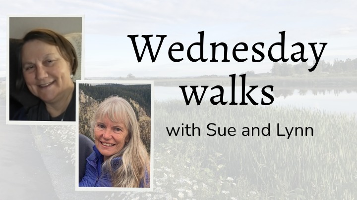 Wednesday Walks logo