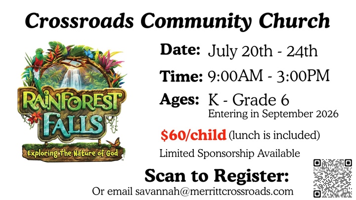 Rainforest Falls Daycamp 2026 logo