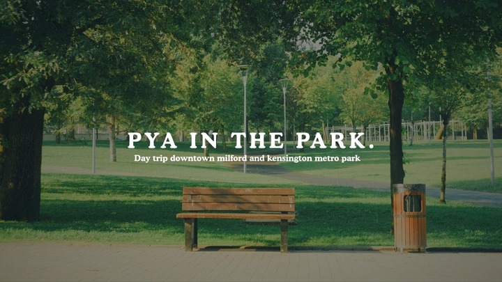 PYA in the Park logo