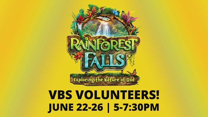 VBS Volunteers logo