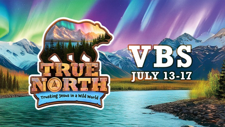 True North VBS  logo