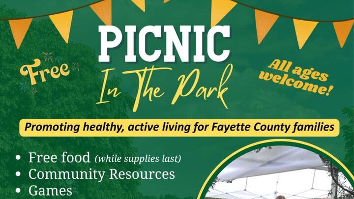 SERVE1P4 Opportunity: Picnic in the Park logo