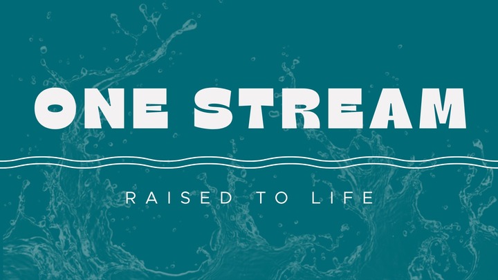 One Stream - A night of baptism and worship logo