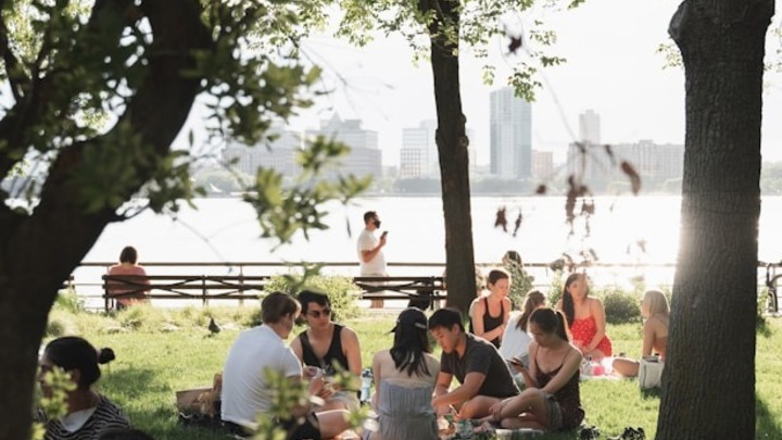 Summer Picnic logo