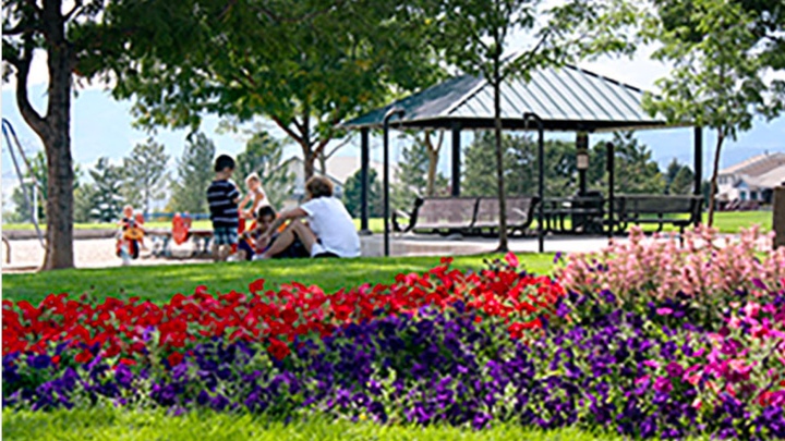 Picnic in the Park