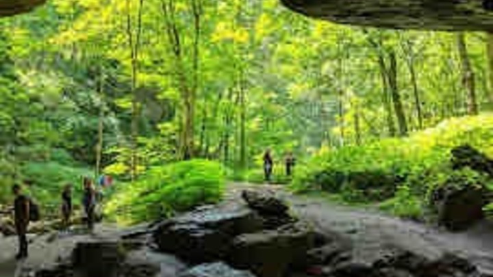 Maquoketa Caves Day Trip logo
