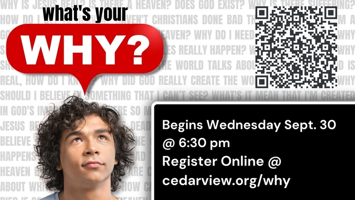 WHY? logo