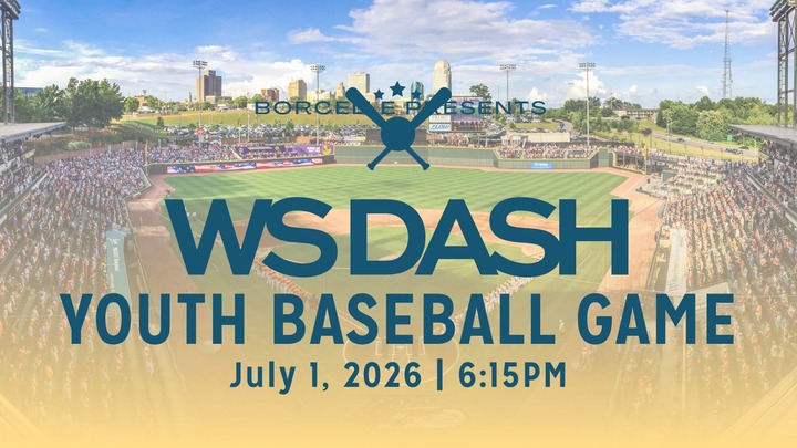 Youth WS Dash Baseball Game logo