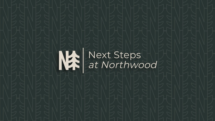 Next Steps logo