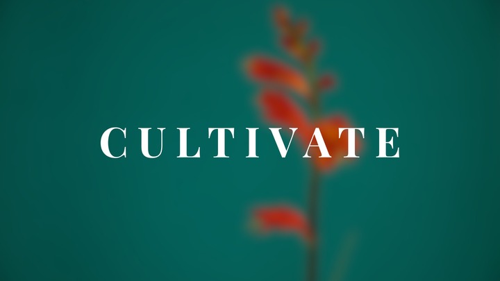 Cultivate image