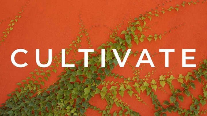 Cultivate image