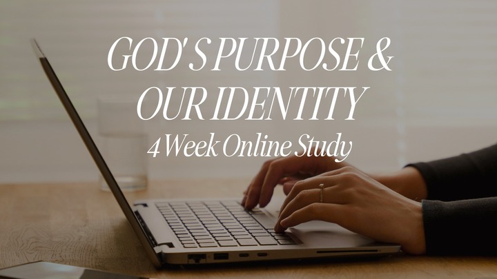 God's Purpose and Our Identity: 4 Wk Online Study logo