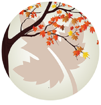Fall day apart