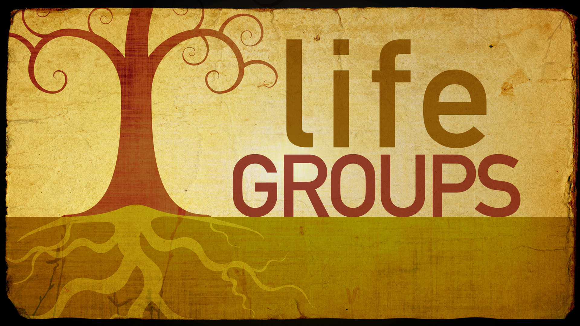 Life groups title 2 still 16x9