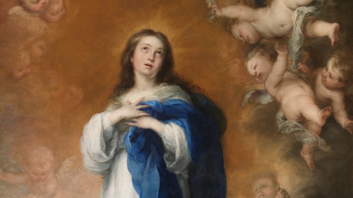 Immaculate Conception of the Blessed Virgin Mary logo