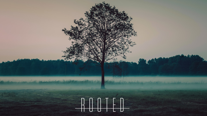 Rooted | Cypress logo image