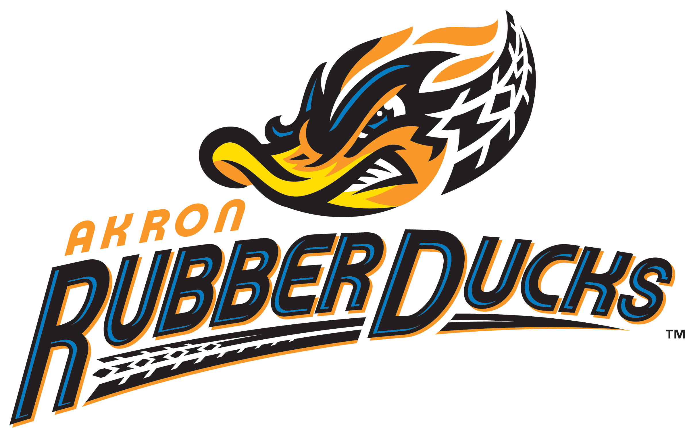 8018 akron rubberducks primary 2014