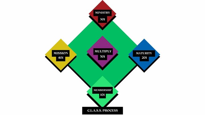 Next Step Classes logo