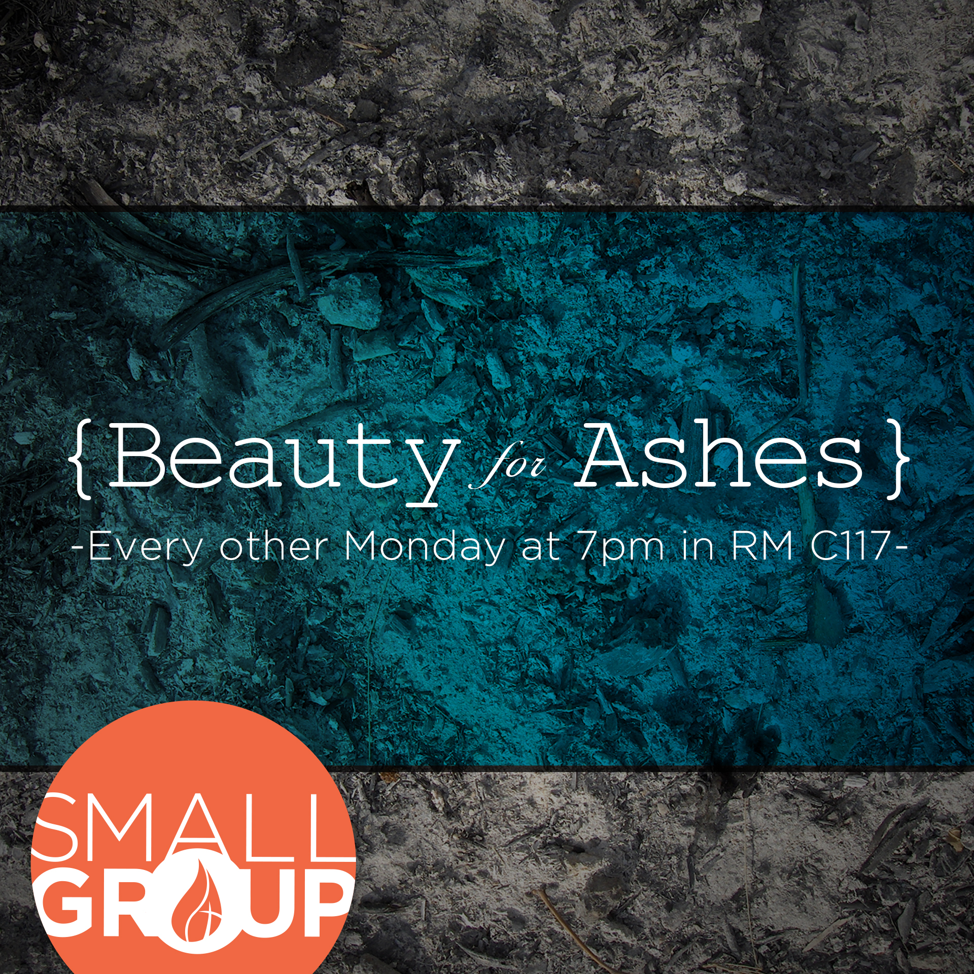 Beauty for ashes w logo