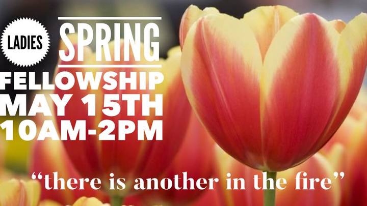 Ladies Spring Fellowship logo