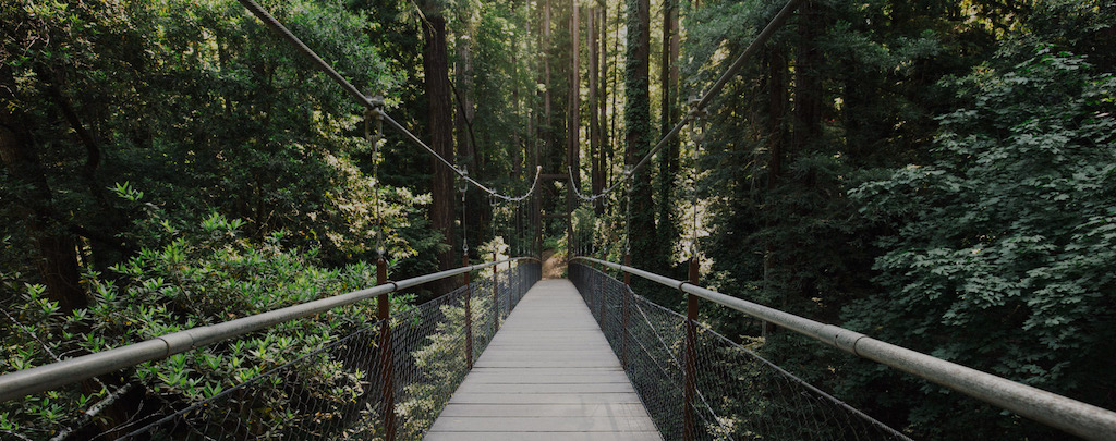 Bridge 6d rc 20160627 0091