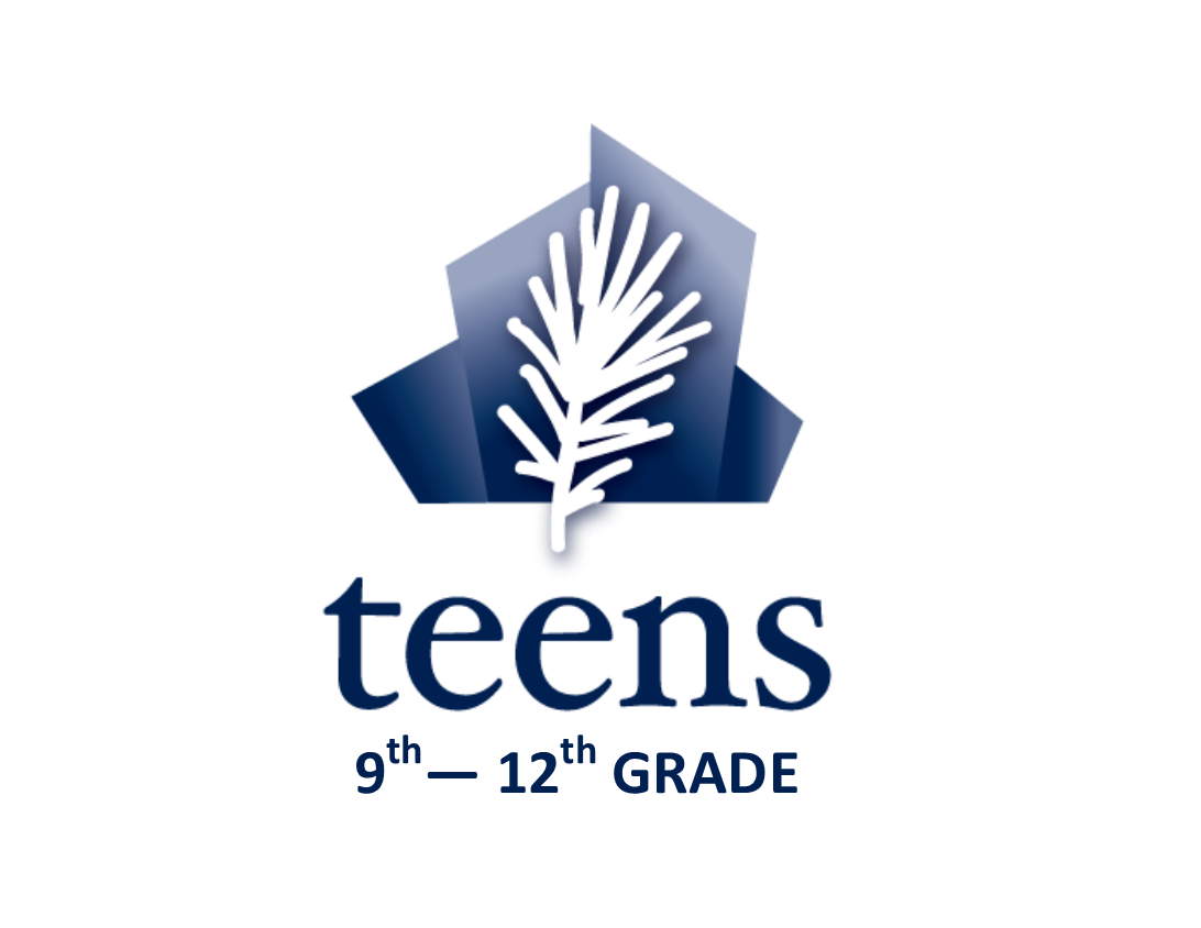 Teens 9th 12th grade